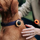 ScoutLite Blinko lightweight magnetic safety light for outdoor activities
